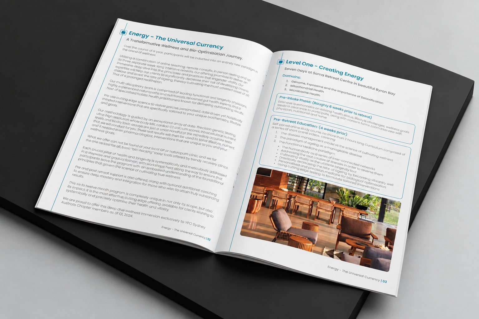 Opening spread introducing the programme and the Level One phases